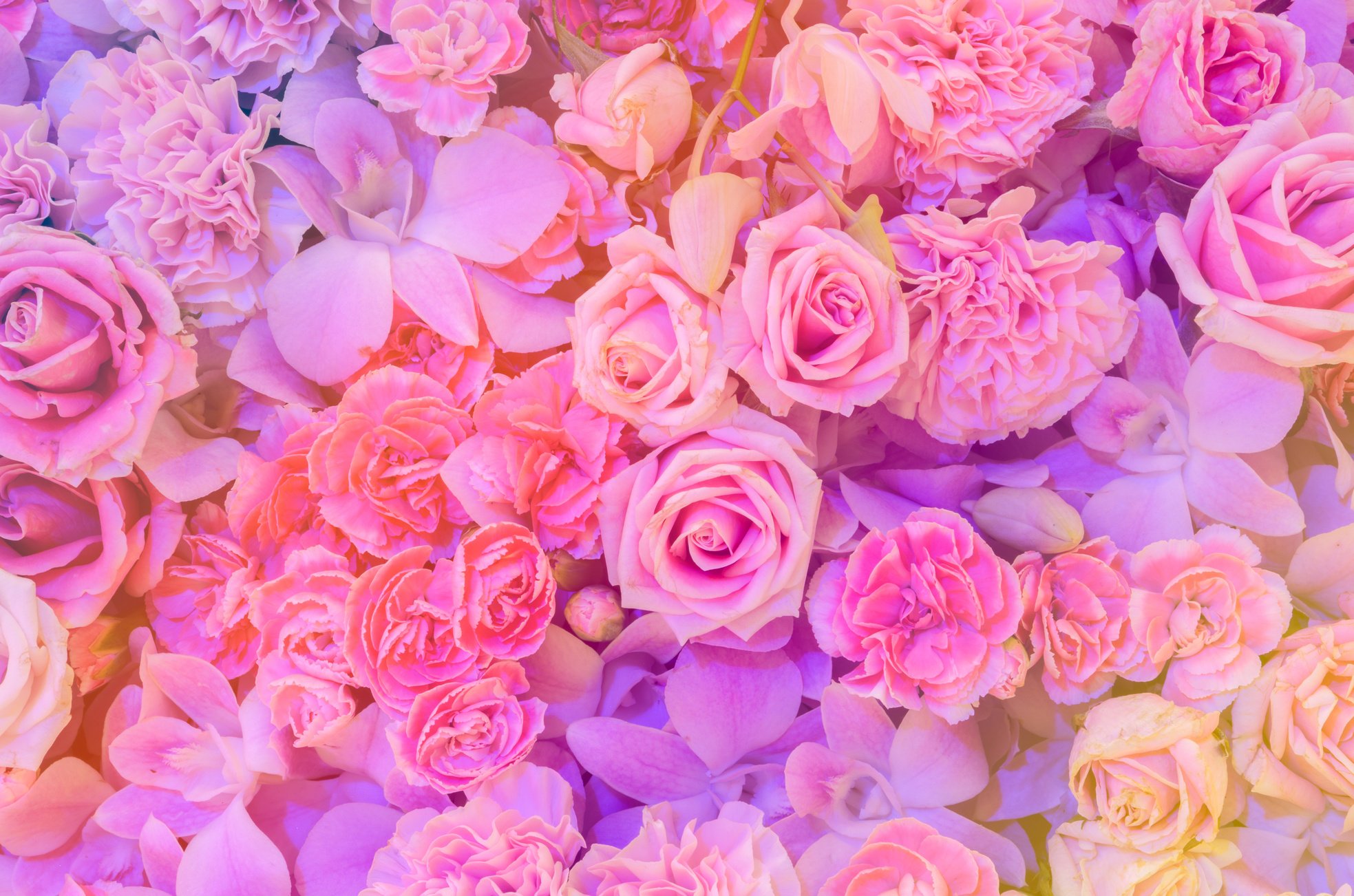 Pink flower background